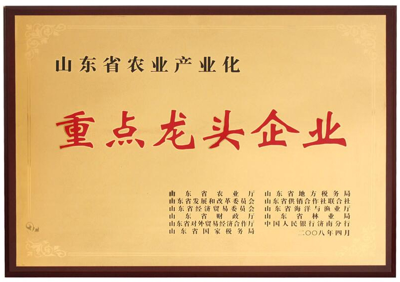 重點(diǎn)龍頭企業(yè)